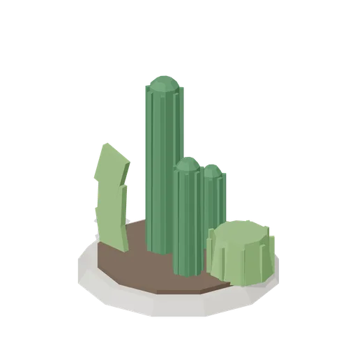 Cactus group on a gravel mound (Botanical Glasshouse and Palm House)