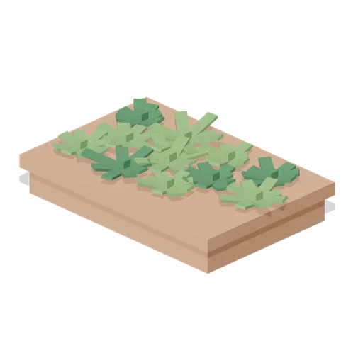 Succulent tray, 0.7 m (Botanical Glasshouse and Palm House)