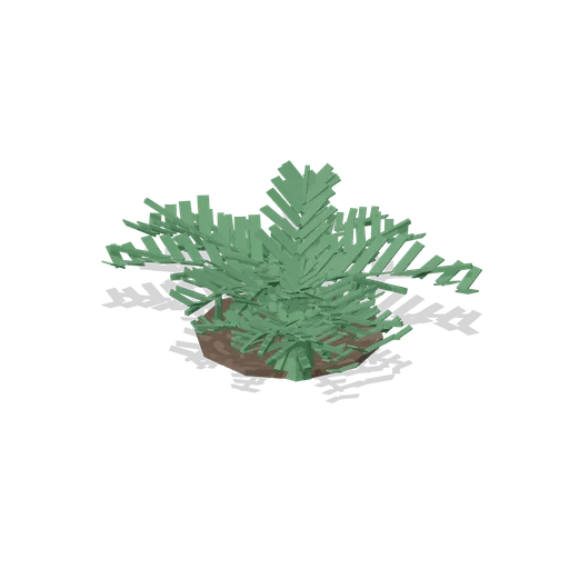 Fern bed clump, 1.2 m (Botanical Glasshouse and Palm House)