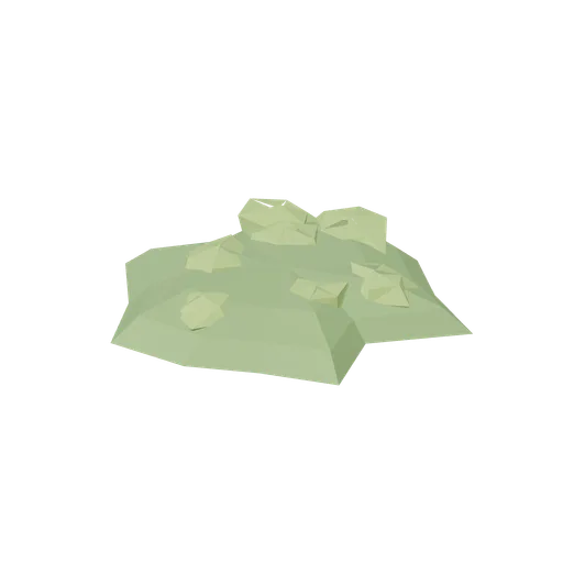Moss mound (Temperate Forest Ecology)