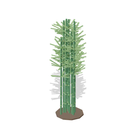 Bamboo clump, 3.4 m (Botanical Glasshouse and Palm House)