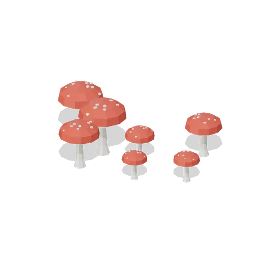 Fly agaric group (Temperate Forest Ecology)