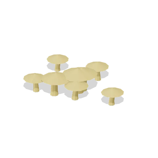 Chanterelle group (Temperate Forest Ecology)