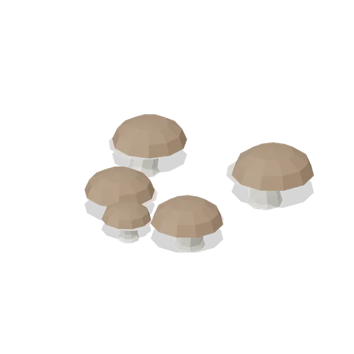Penny bun bolete group (Temperate Forest Ecology)