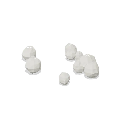 Puffball group (Temperate Forest Ecology)