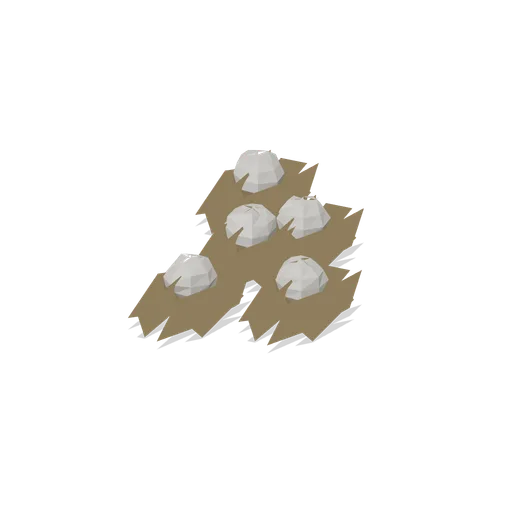 Earthstar group (Temperate Forest Ecology)