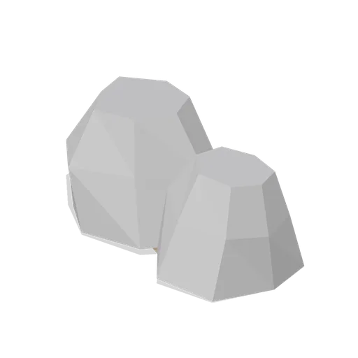 Split boulder pair (Temperate Forest Ecology)