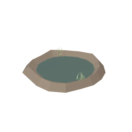 Woodland pool (Temperate Forest Ecology)