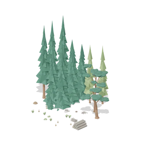 Conifer plantation edge (Temperate Forest Ecology)