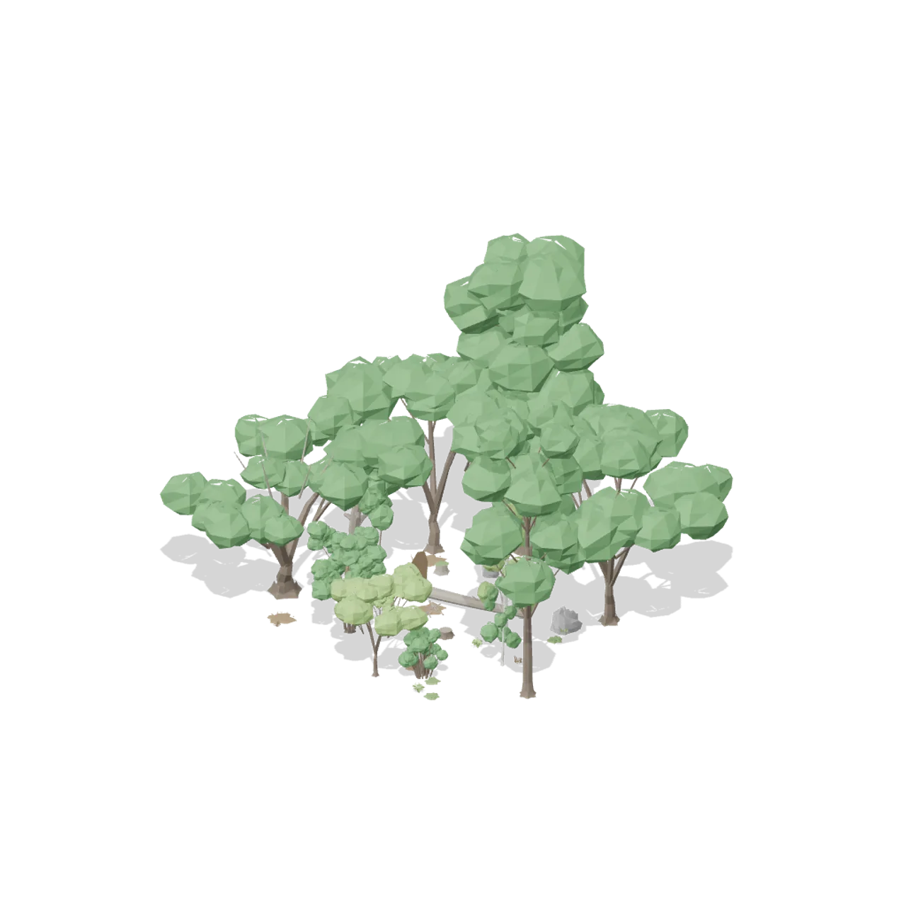 Temperate Forest Ecology assembled scene