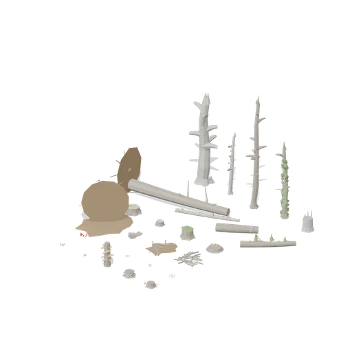 Deadwood and fungi study (Temperate Forest Ecology)