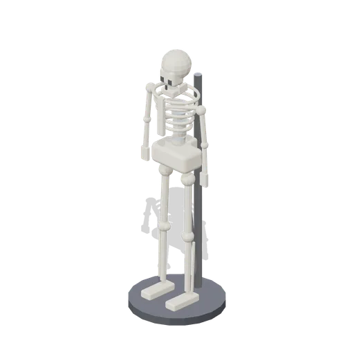 Full Skeleton (Human Anatomy and Education Kit)
