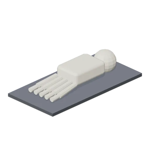 Foot Skeleton (Human Anatomy and Education Kit)