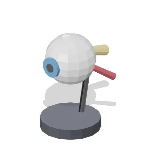 Eye Model (Human Anatomy and Education Kit)
