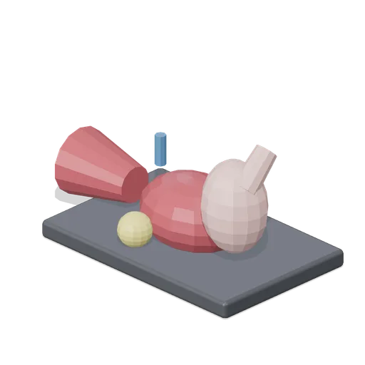Liver Model (Human Anatomy and Education Kit)