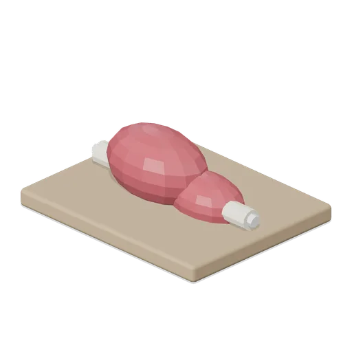 Arm Muscle Model (Human Anatomy and Education Kit)