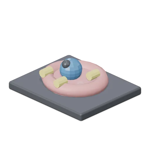 Cell Model (Human Anatomy and Education Kit)