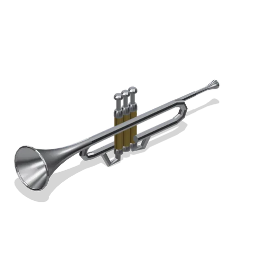 Trumpet, Silver Finish (Orchestra and Band Instruments)