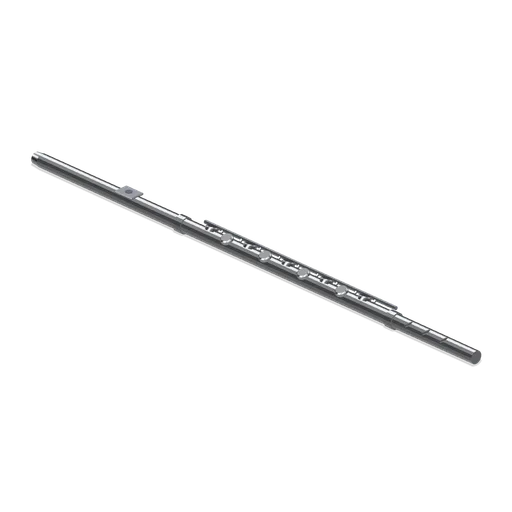 Concert Flute (Orchestra and Band Instruments)