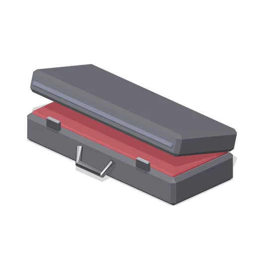 Violin Case (Orchestra and Band Instruments)