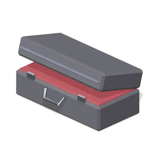 Trumpet Case (Orchestra and Band Instruments)