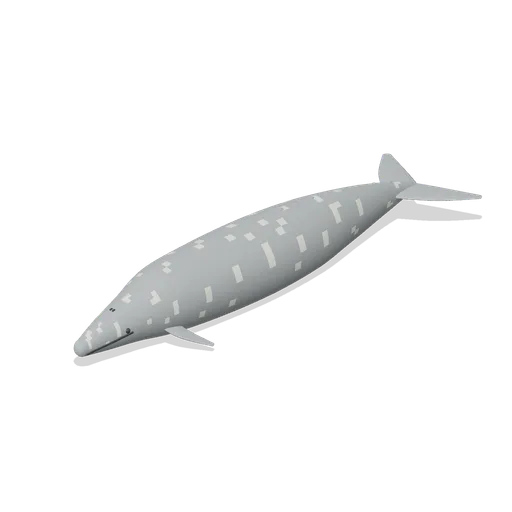 grey whale (Ocean Giants: Whales, Dolphins, Sharks and Reef Life)