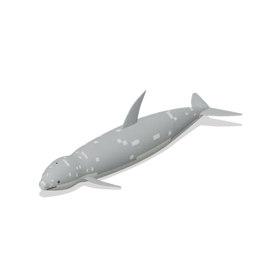 risso dolphin (Ocean Giants: Whales, Dolphins, Sharks and Reef Life)