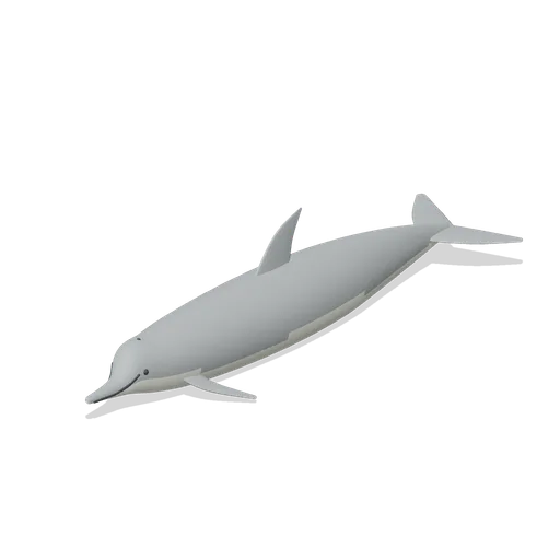 bottlenose dolphin (Ocean Giants: Whales, Dolphins, Sharks and Reef Life)