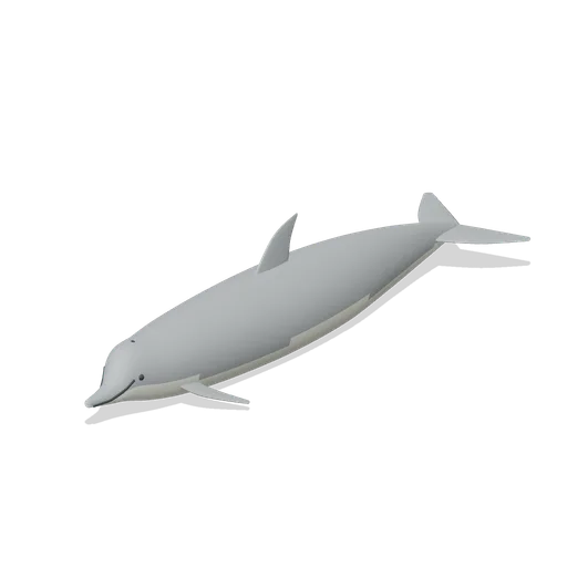 bottlenose calf (Ocean Giants: Whales, Dolphins, Sharks and Reef Life)