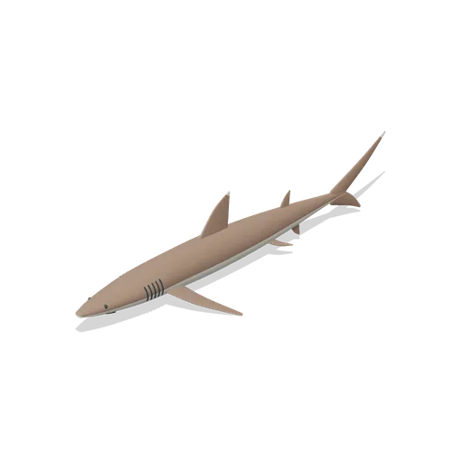whitetip reef shark (Ocean Giants: Whales, Dolphins, Sharks and Reef Life)