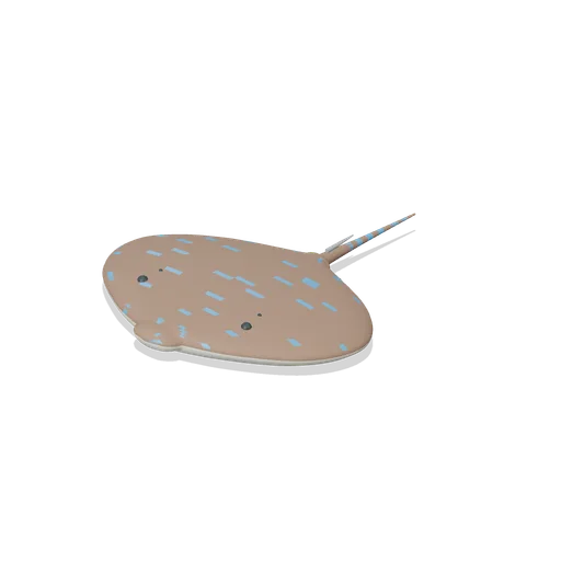 bluespotted stingray (Ocean Giants: Whales, Dolphins, Sharks and Reef Life)