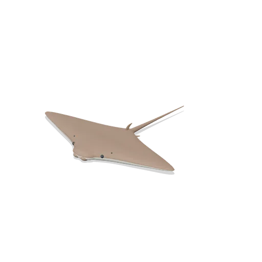 cownose ray (Ocean Giants: Whales, Dolphins, Sharks and Reef Life)
