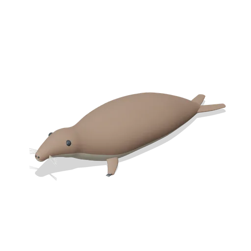 grey seal (Ocean Giants: Whales, Dolphins, Sharks and Reef Life)