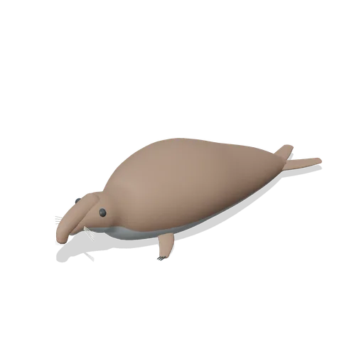 elephant seal (Ocean Giants: Whales, Dolphins, Sharks and Reef Life)