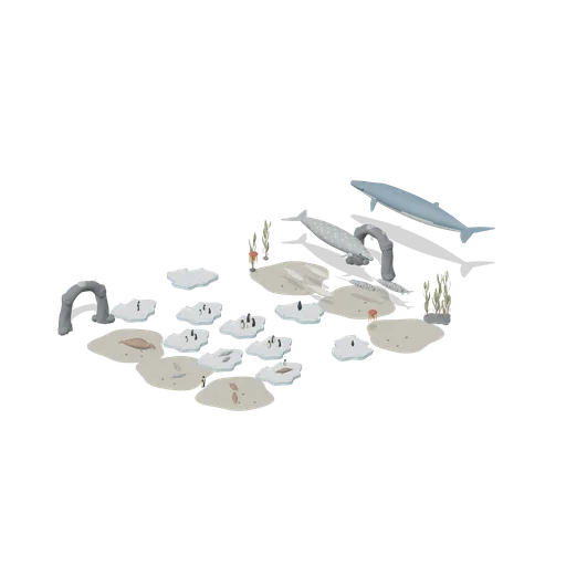 Polar edge (Ocean Giants: Whales, Dolphins, Sharks and Reef Life)