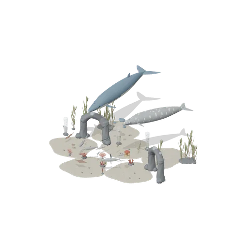 Reef cove (Ocean Giants: Whales, Dolphins, Sharks and Reef Life)
