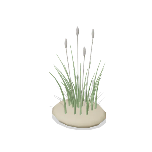 Dune Grass Tuft (Beach Surf and Paddle Kit)