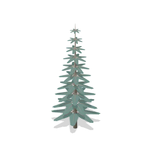 Mature alpine spruce (Alpine and Arctic Biomes)