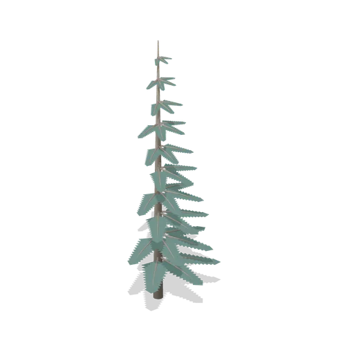 Wind-flagged spruce (Alpine and Arctic Biomes)