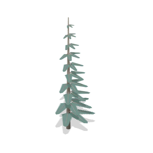 Stunted timberline tree (Alpine and Arctic Biomes)