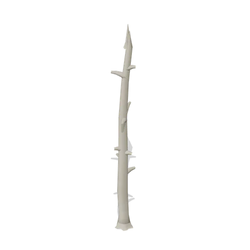 Standing alpine snag (Alpine and Arctic Biomes)