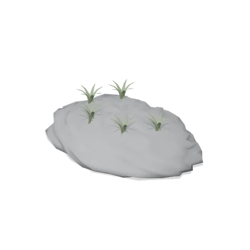 Saxifrage mat (Alpine and Arctic Biomes)