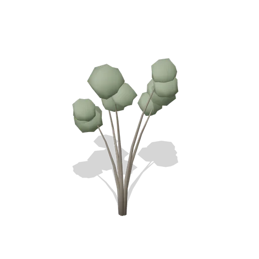 Arctic willow (Alpine and Arctic Biomes)