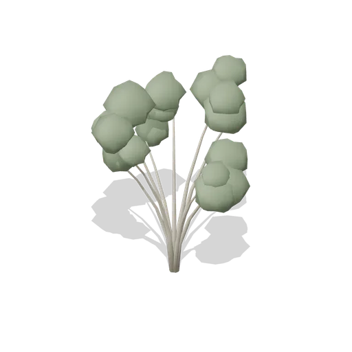 Dwarf birch (Alpine and Arctic Biomes)