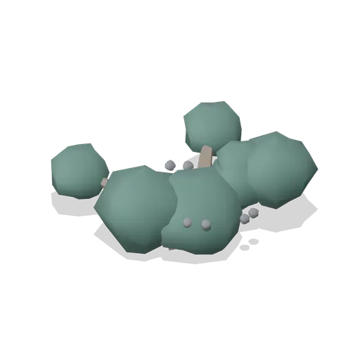 Crowberry mat (Alpine and Arctic Biomes)