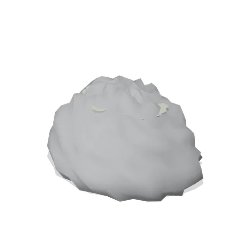 Lichen-crusted rock (Alpine and Arctic Biomes)
