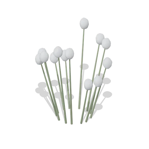 Cotton grass clump (Alpine and Arctic Biomes)