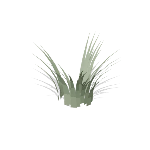 Alpine sedge tuft (Alpine and Arctic Biomes)