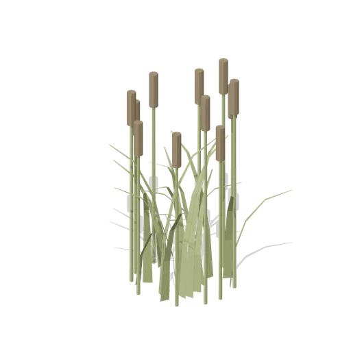 Oasis reed bed (Desert Canyons and Oases)