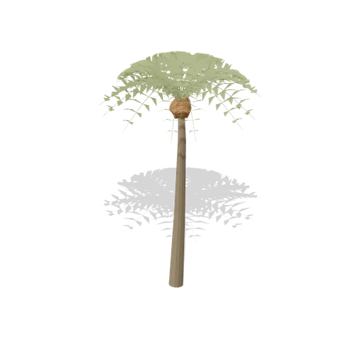 Mature date palm (Desert Canyons and Oases)